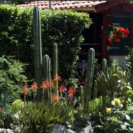 Cactus House Gaspar Zadar Exterior photo