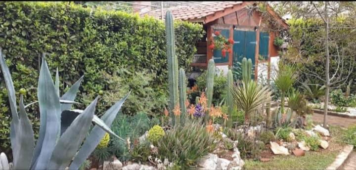 Cactus House Gaspar Apartment *