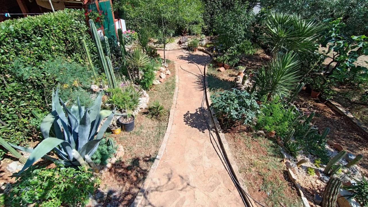 Apartment Cactus House Gaspar Zadar