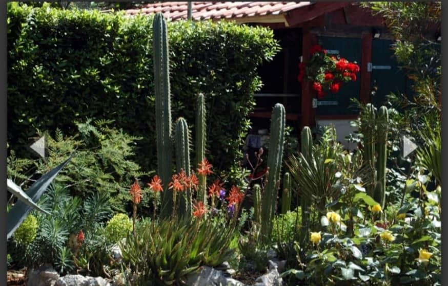 Cactus House Gaspar Apartament Zadar