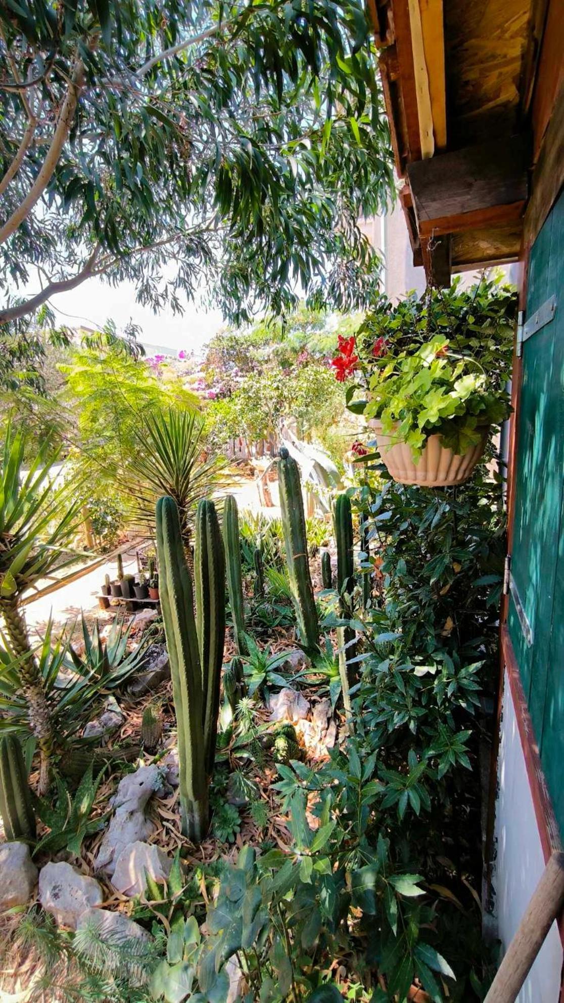 Apartment Cactus House Gaspar *
