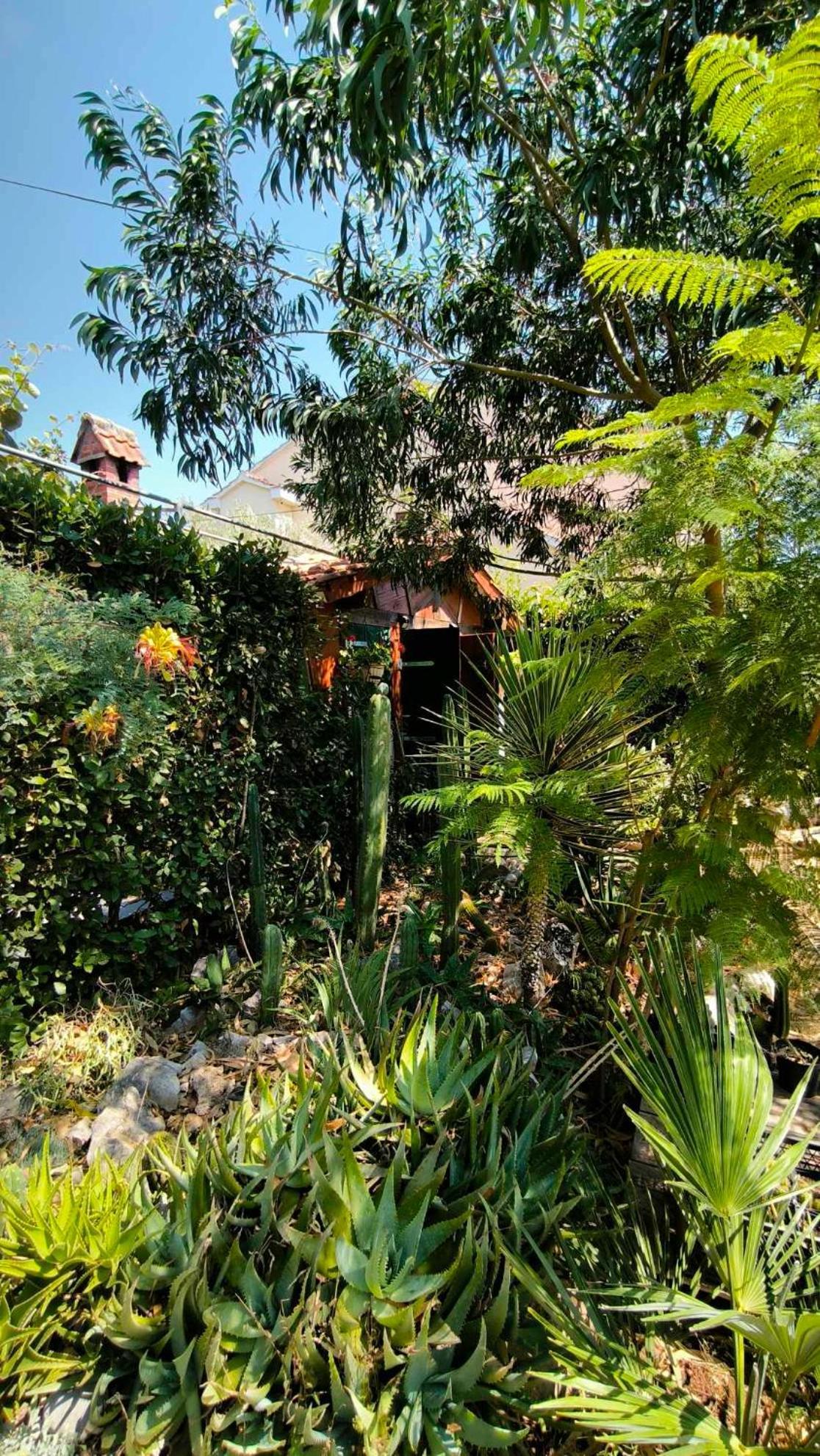 Cactus House Gaspar *